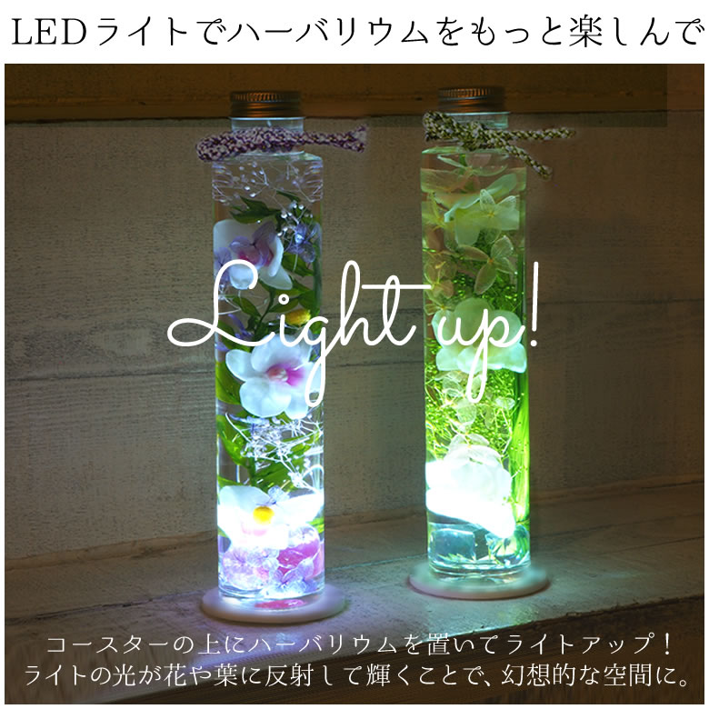 ハーバリウムをもっと楽しむLED