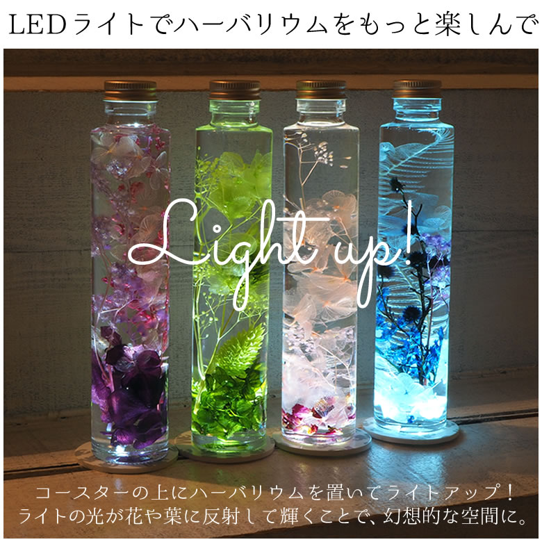 ハーバリウムをもっと楽しむLED