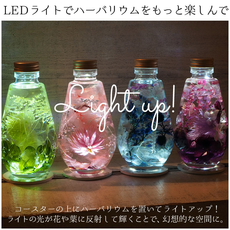 ハーバリウムをもっと楽しむLED