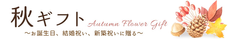 秋のお祝いに贈るお花