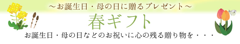 春のギフトに贈るお花