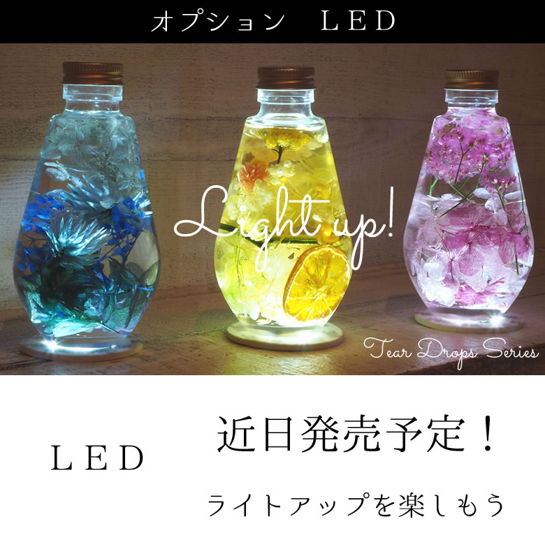 オプション
