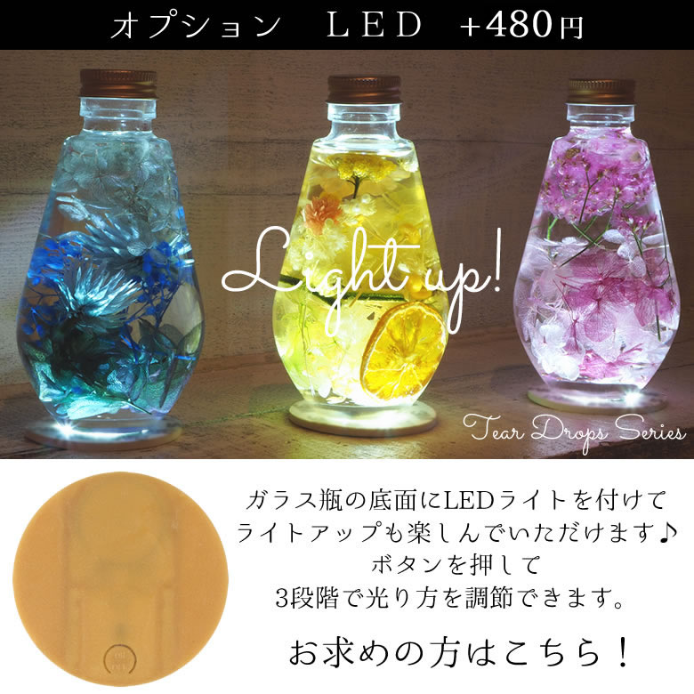 オプション
