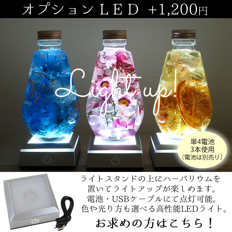 オプション