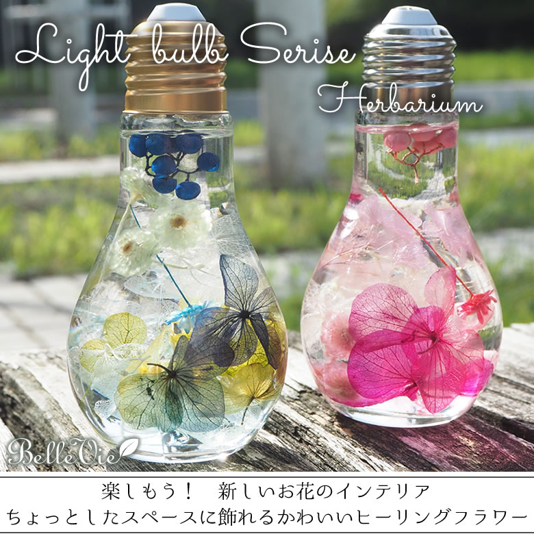 ハーバリウム ライトバルブシリーズ
