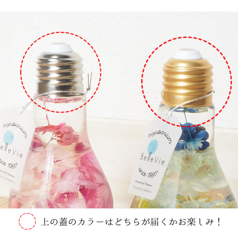 蓋の色の違い