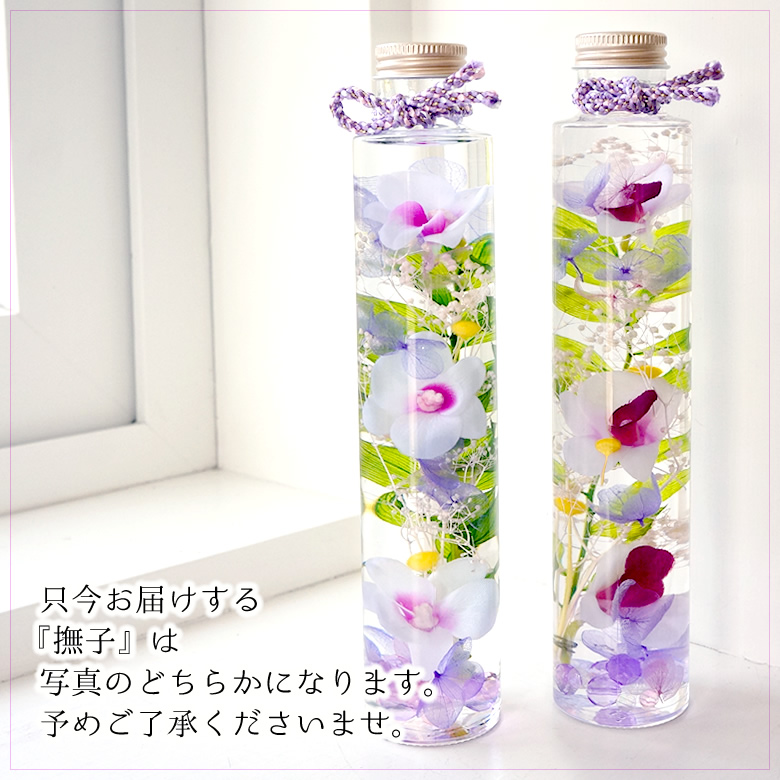 ただいま 撫子