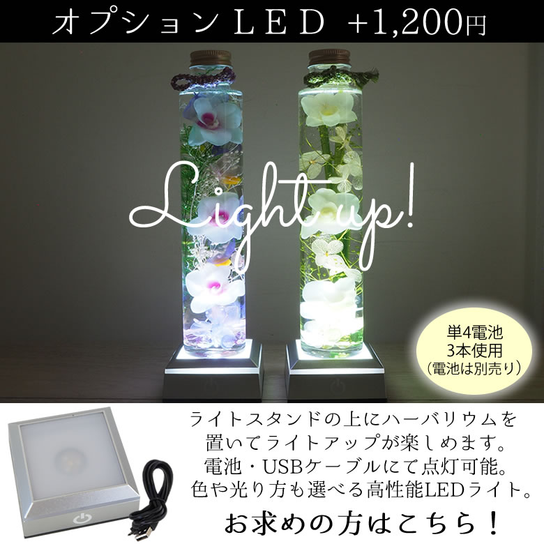 オプション