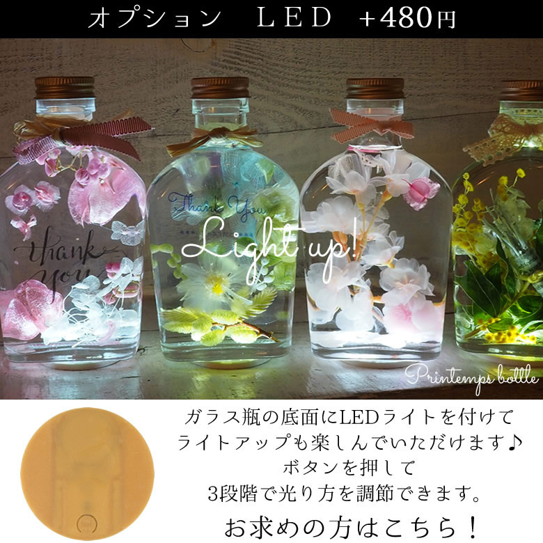 オプション LED