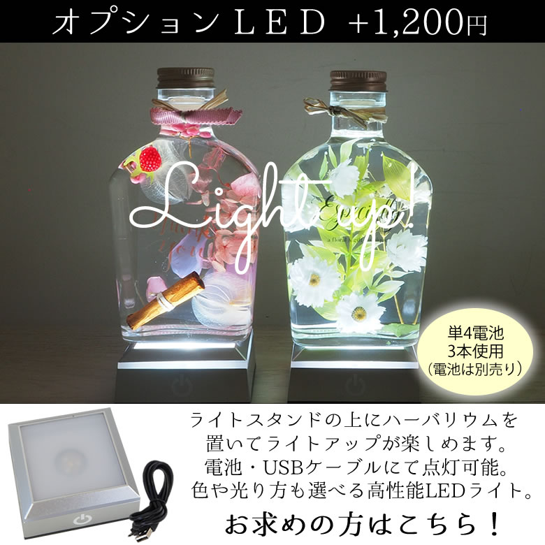 オプション LED