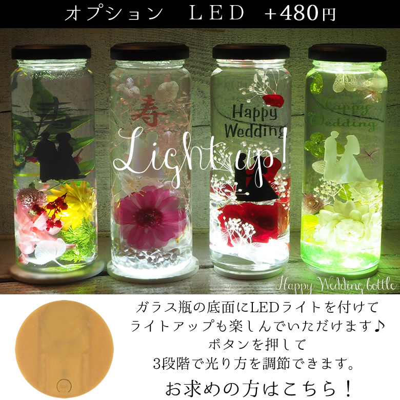 オプション LED
