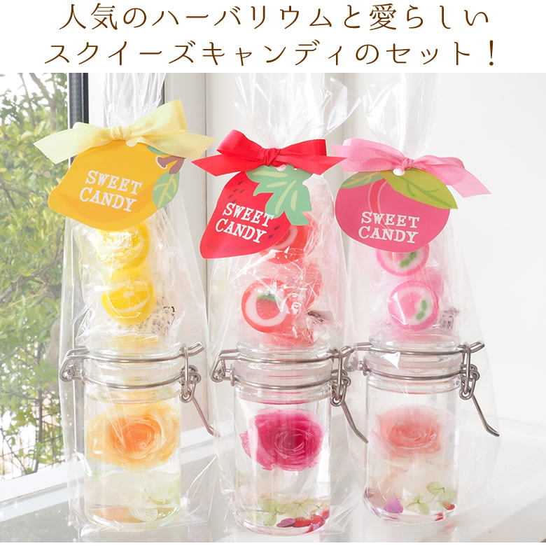 人気のハーバリウムと愛らしいスクイーズキャンディのセット!