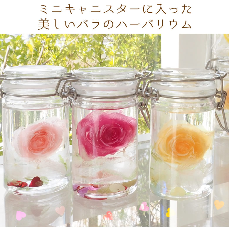 ミニキャニスターに入った美しいバラのハーバリウム