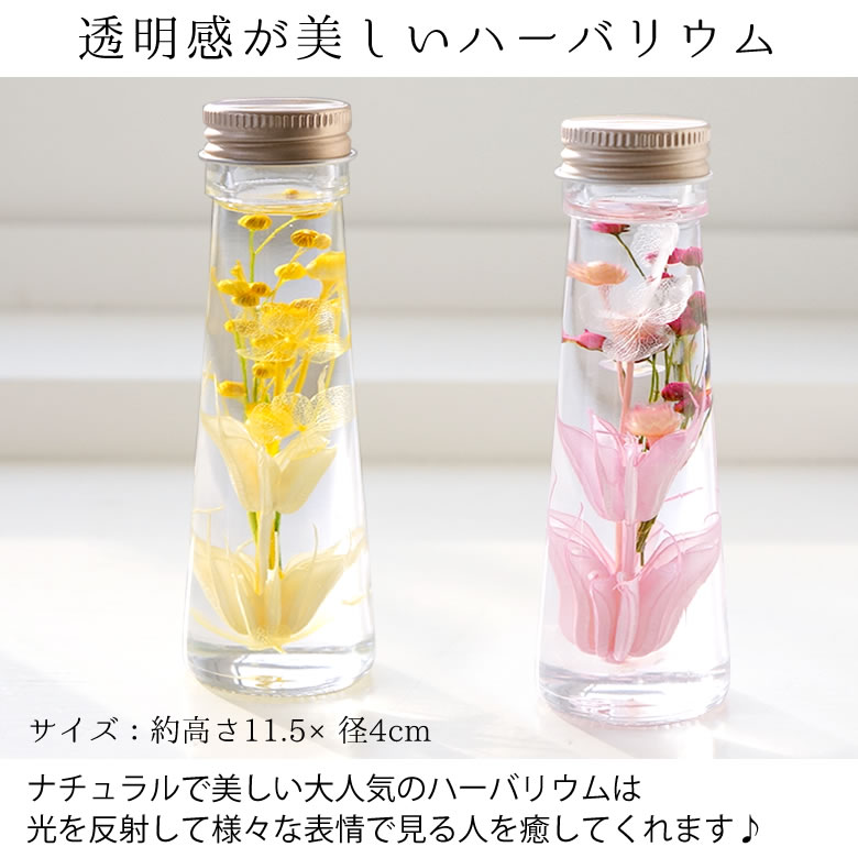 透明感あふれるインテリアハーバリウム