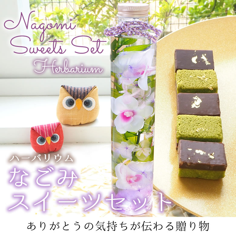 ハーバリウム なごみスイーツセット
