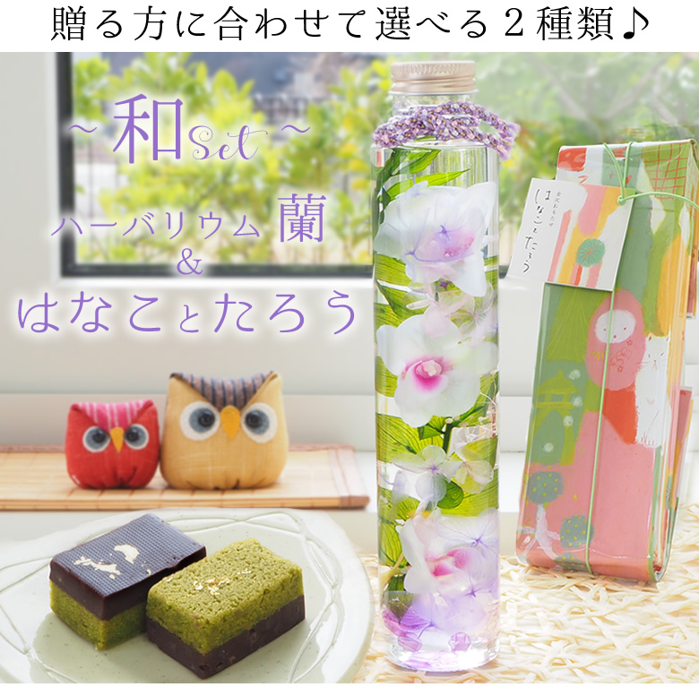 ハーバリウム なごみスイーツセット 和セット
