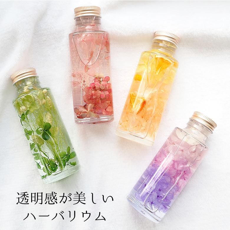 ナチュール キャトル
