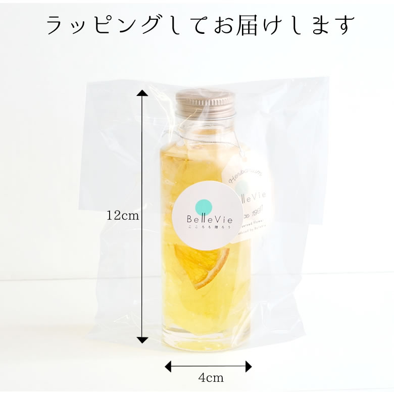 ナチュール キャトル
