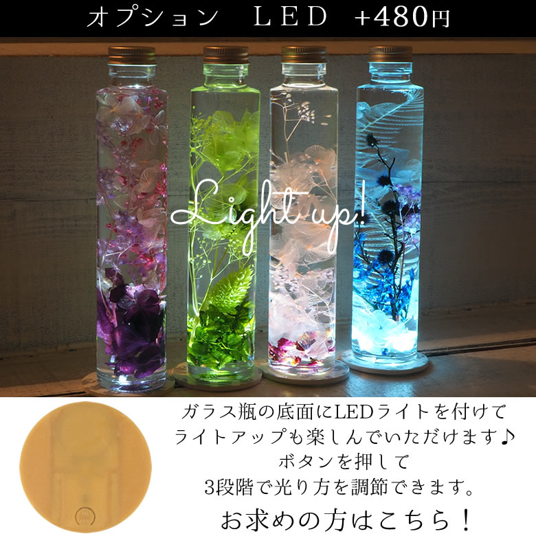 オプション
