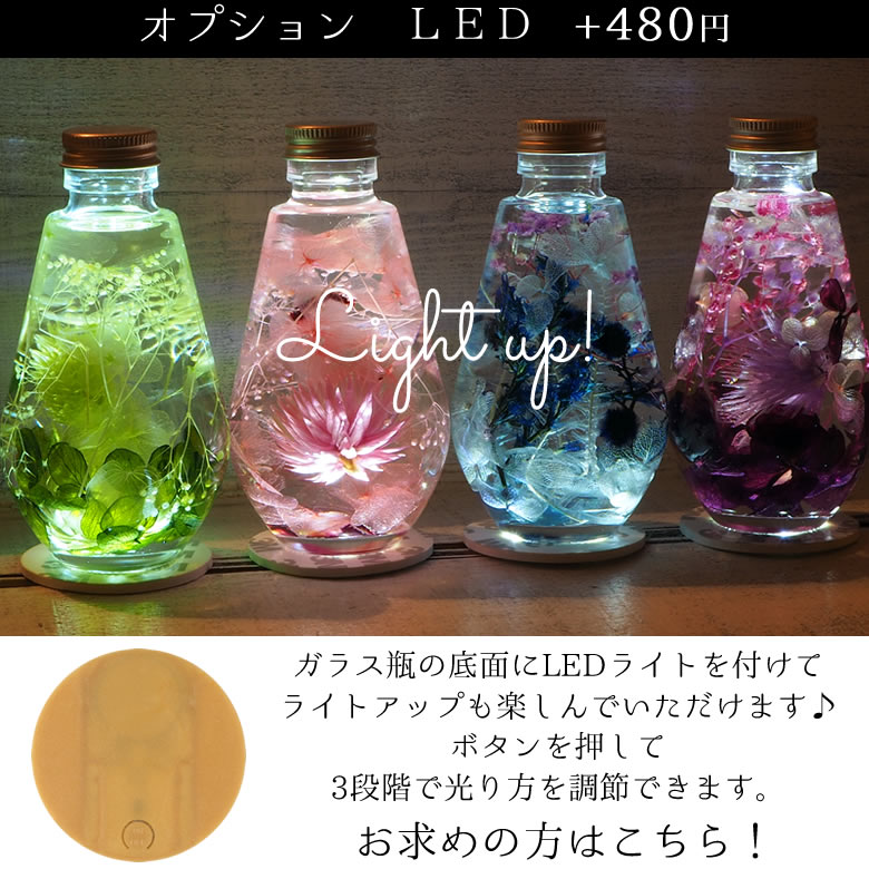 オプション