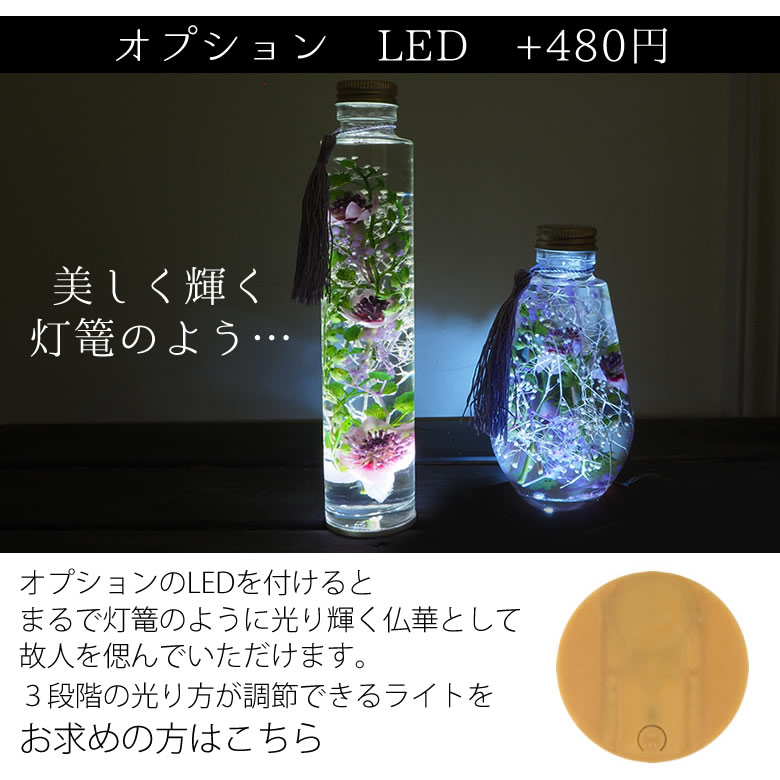 オプション