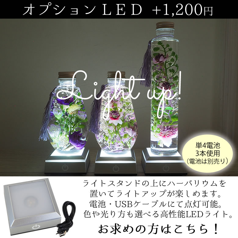 オプション