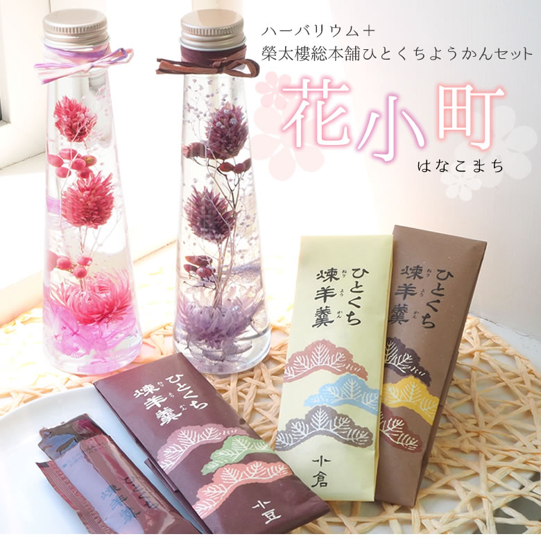 敬老お菓子セット「花小町」ハーバリウムひとくちようかんセット