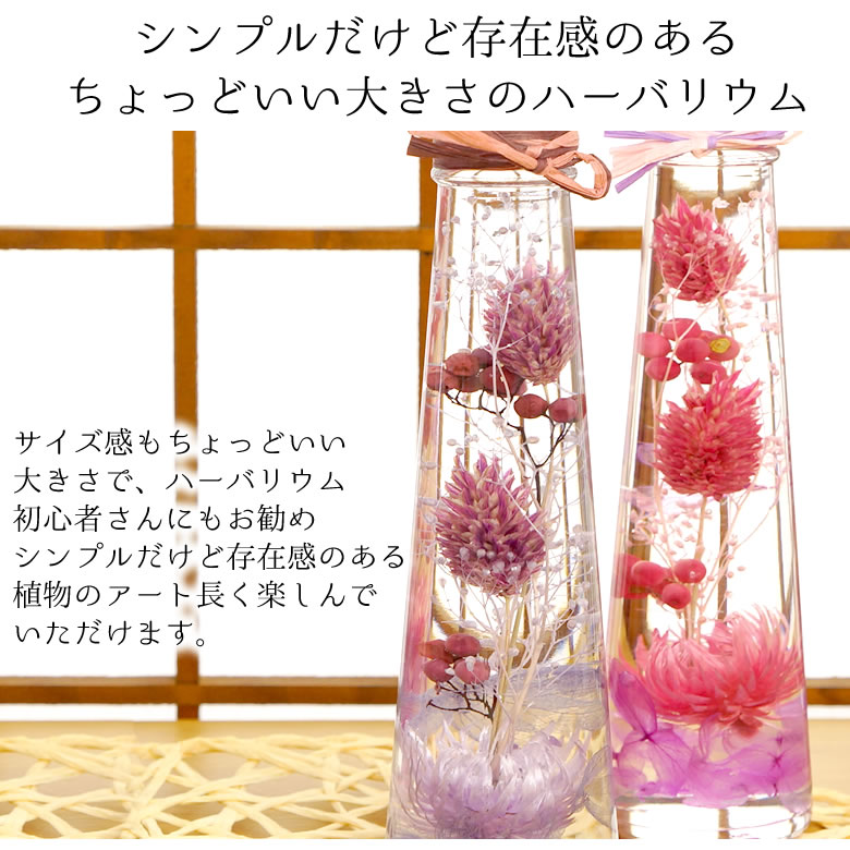 敬老お菓子セット「花小町」ハーバリウムひとくちようかんセット