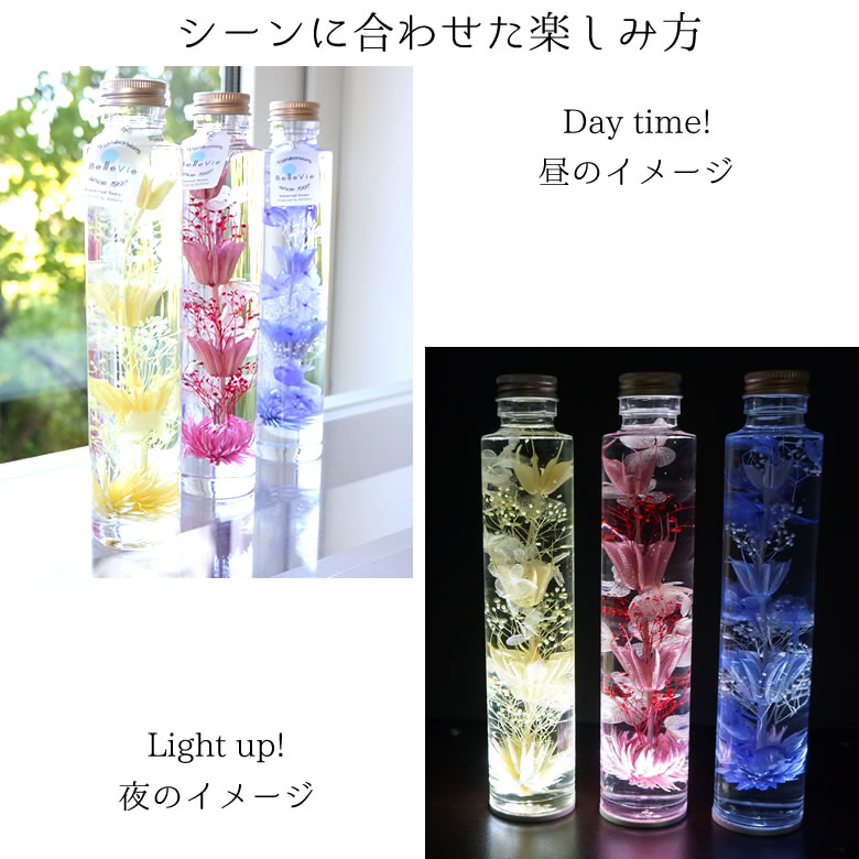 昼と夜と異なる表情