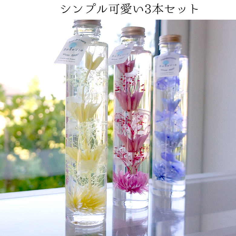 シンプル可愛い3本セット