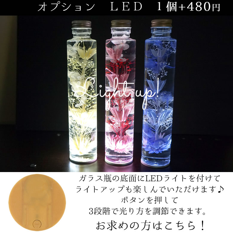 オプション