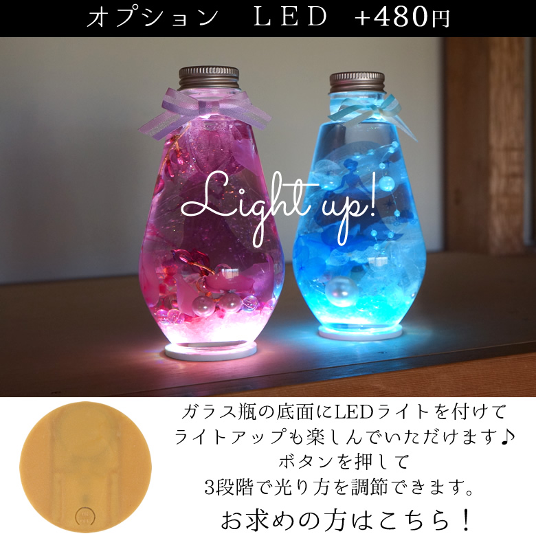 オプション