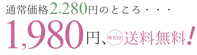 今だけ特別価格