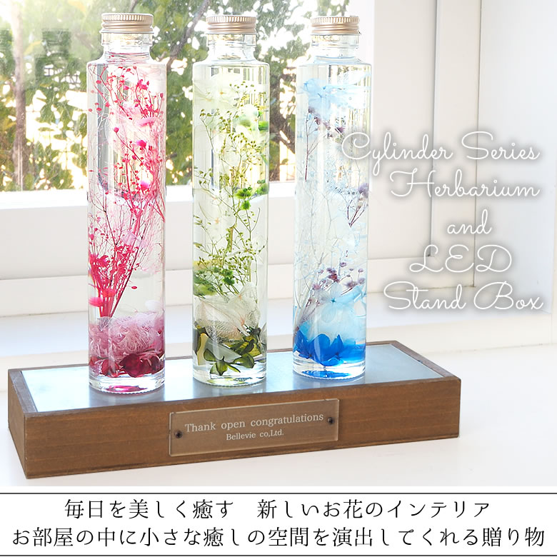 ハーバリウムシリンダー3本+LEDスタンドBOX