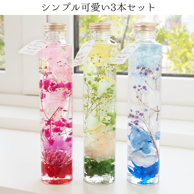 シンプル可愛い3本セット