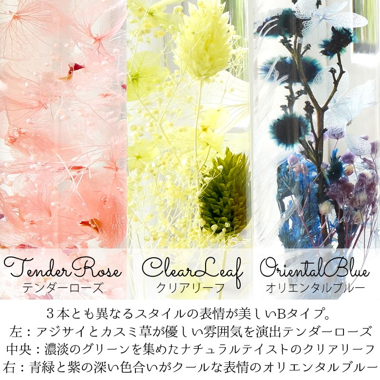 シリンダーBタイプ