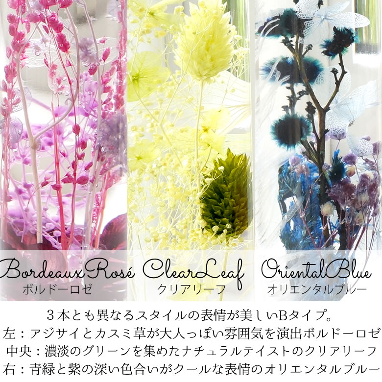 シリンダーBタイプ