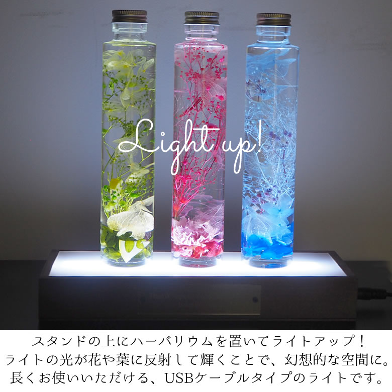 ライトアップハーバリウムを楽しんで