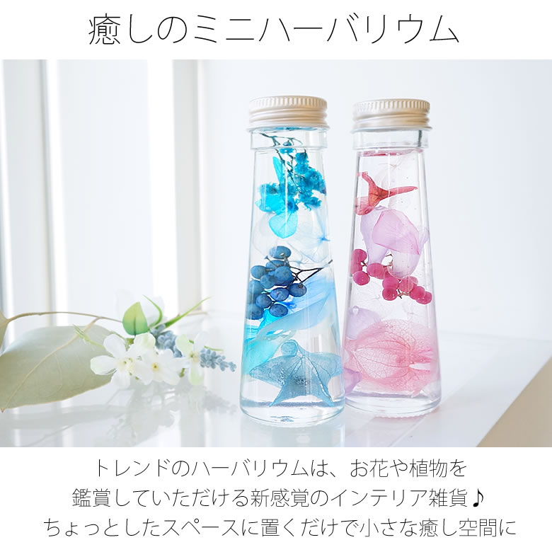 ハンカチセット