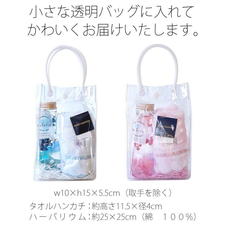 透明バッグに入れてお届けします