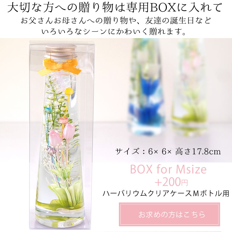 クリアBOX