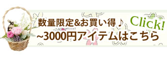 3000~̃Mtg͂