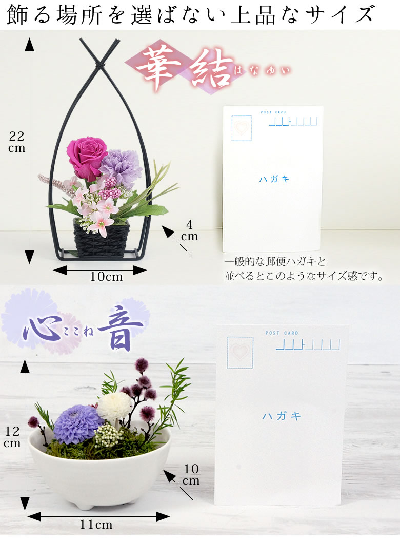 飾る場所を選ばない上品なサイズ