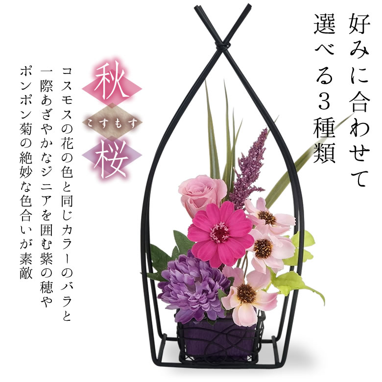選べる3種類「秋桜」