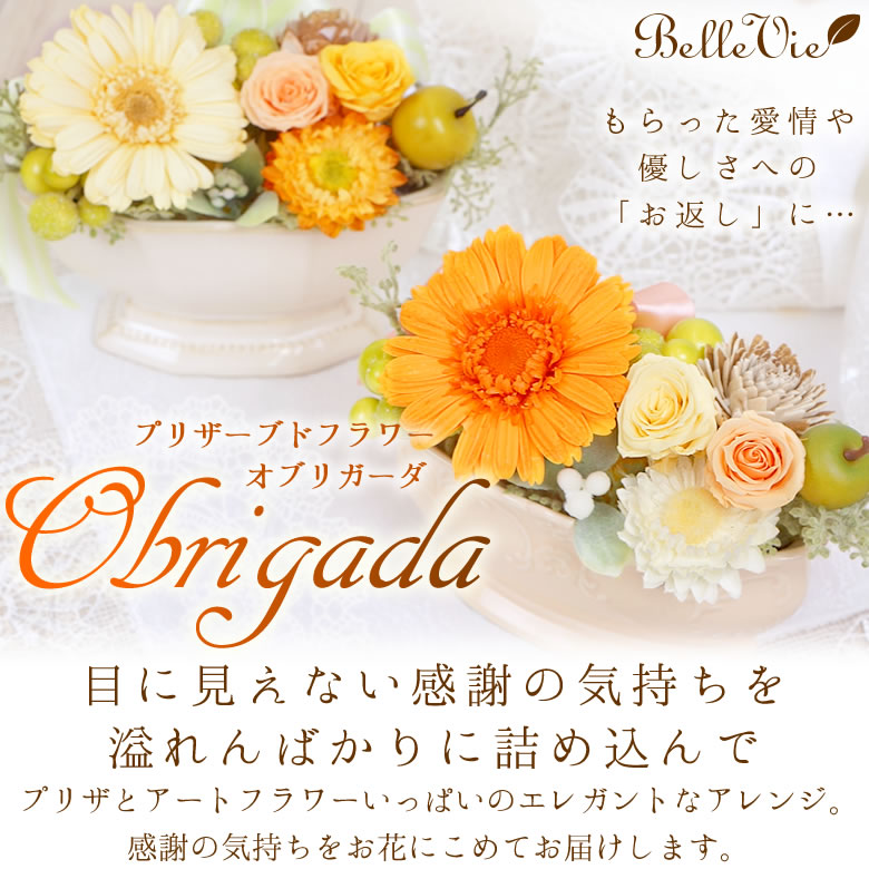プリザーブドフラワー オブリガーダ