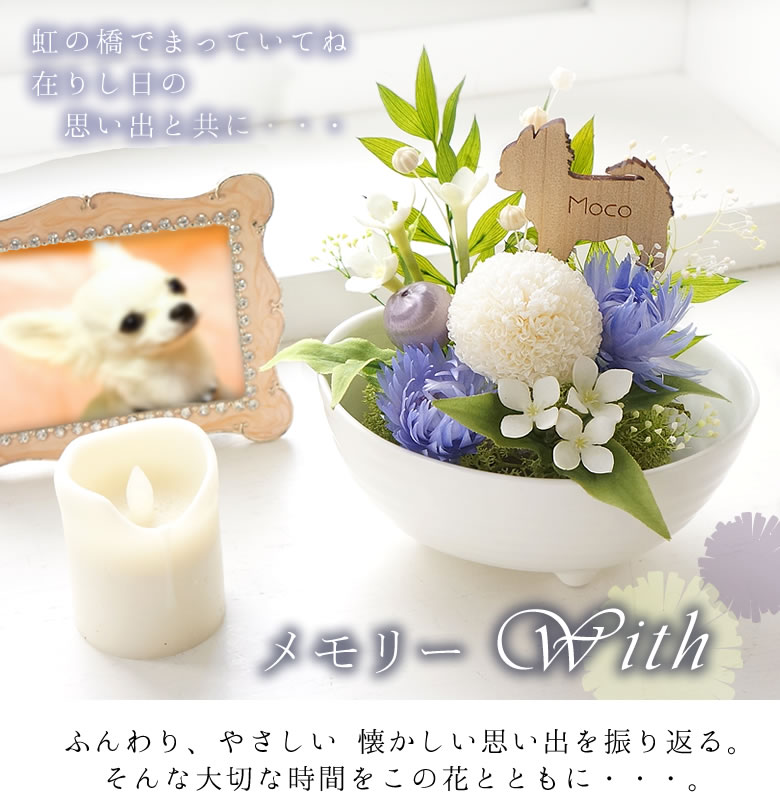 メモリー