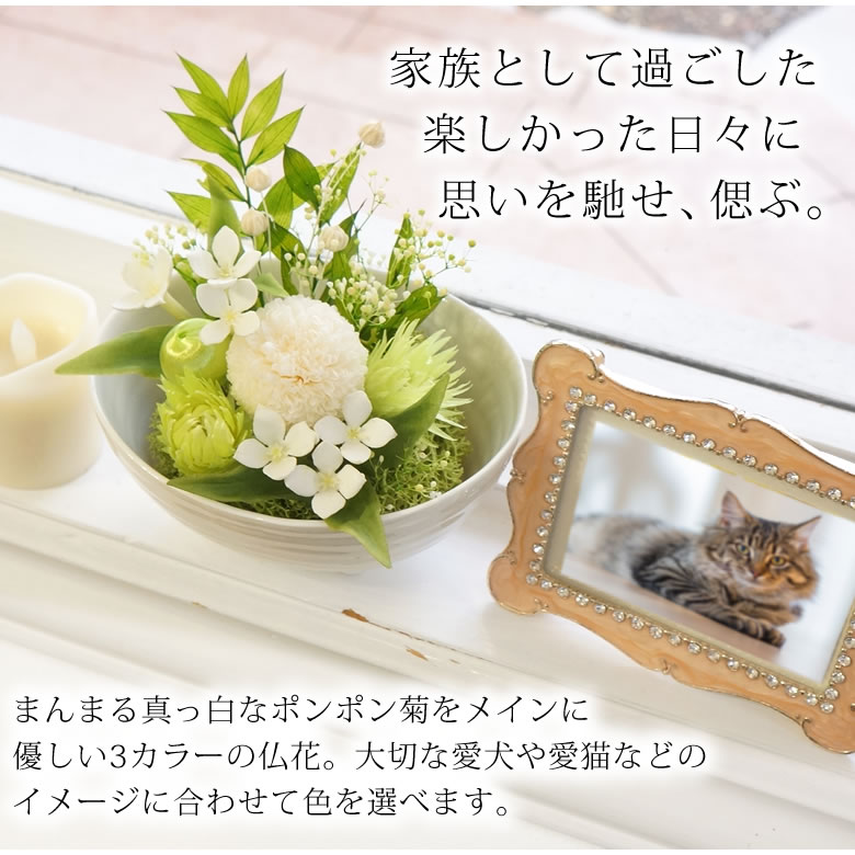 メモリー