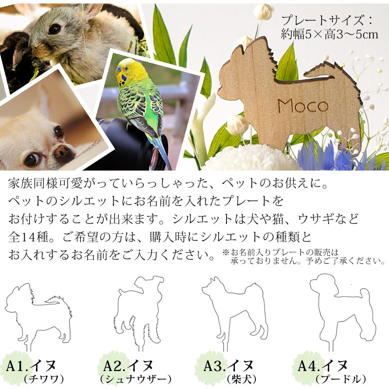 メモリー