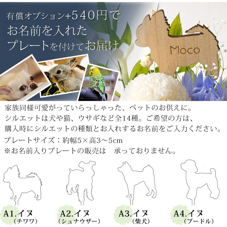 メモリー