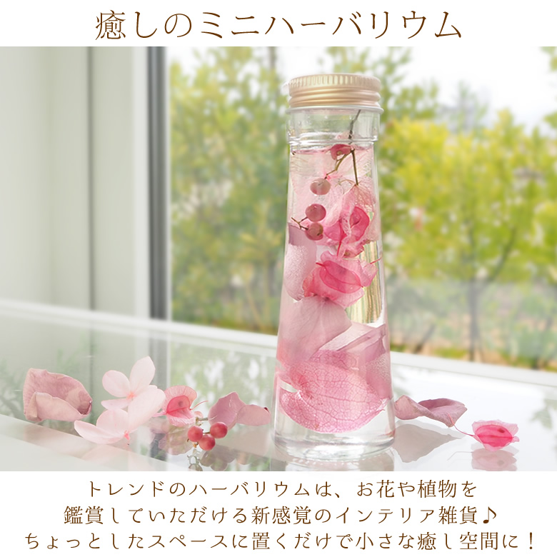 癒しのミニハーバリウム